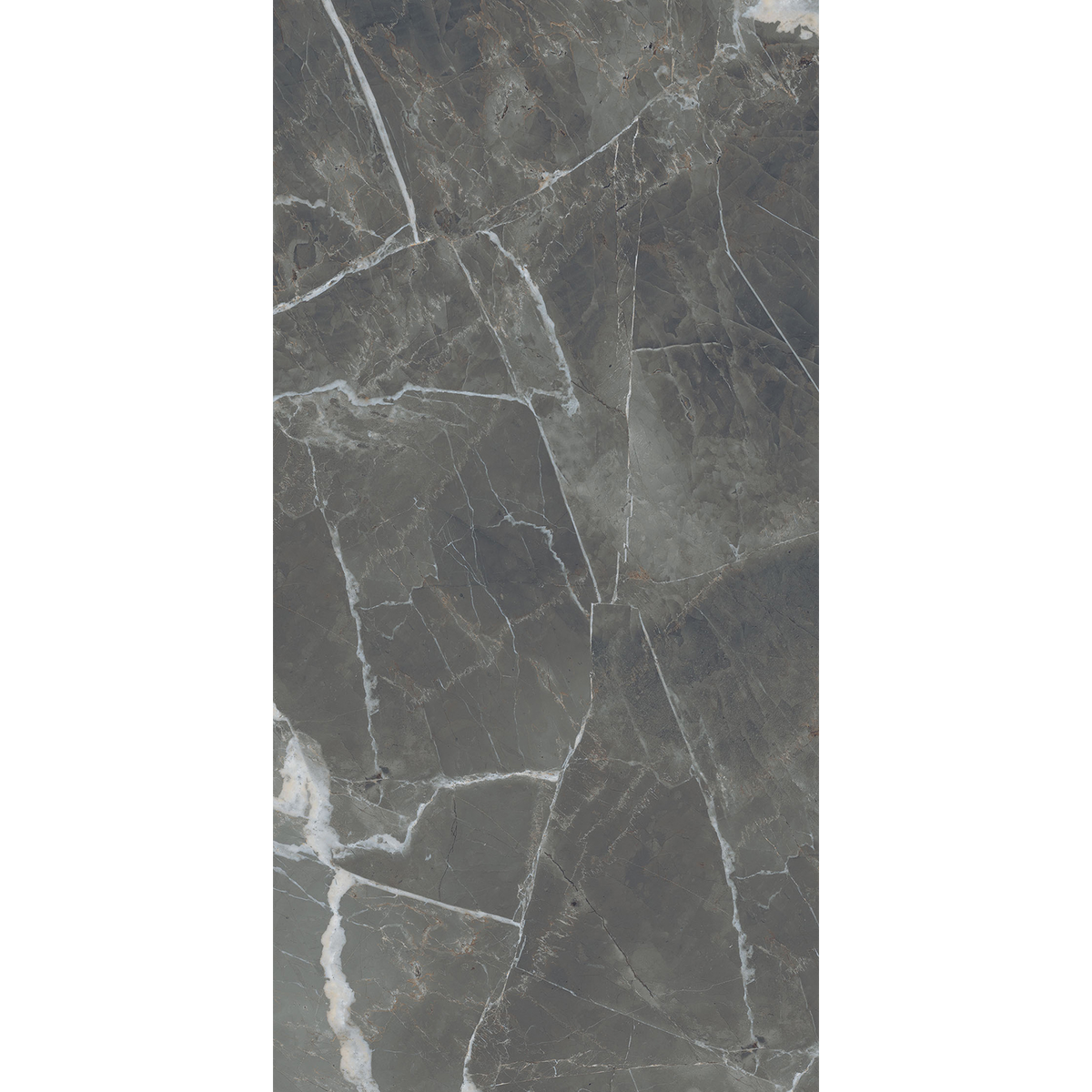 Calacatta Black Silk Tile