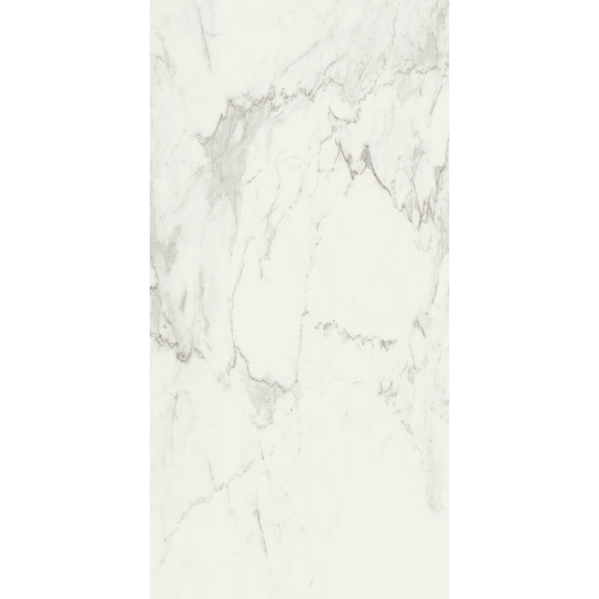 Calacatta White Silk Tile
