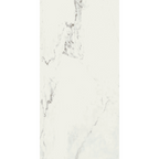 Calacatta White Silk Tile