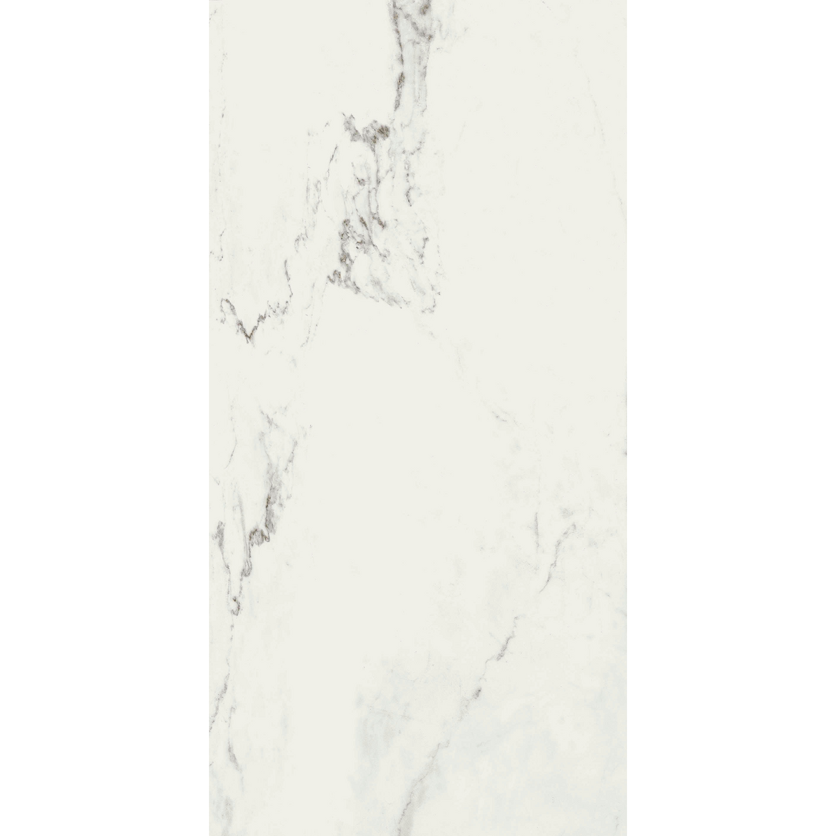Calacatta White Silk Tile