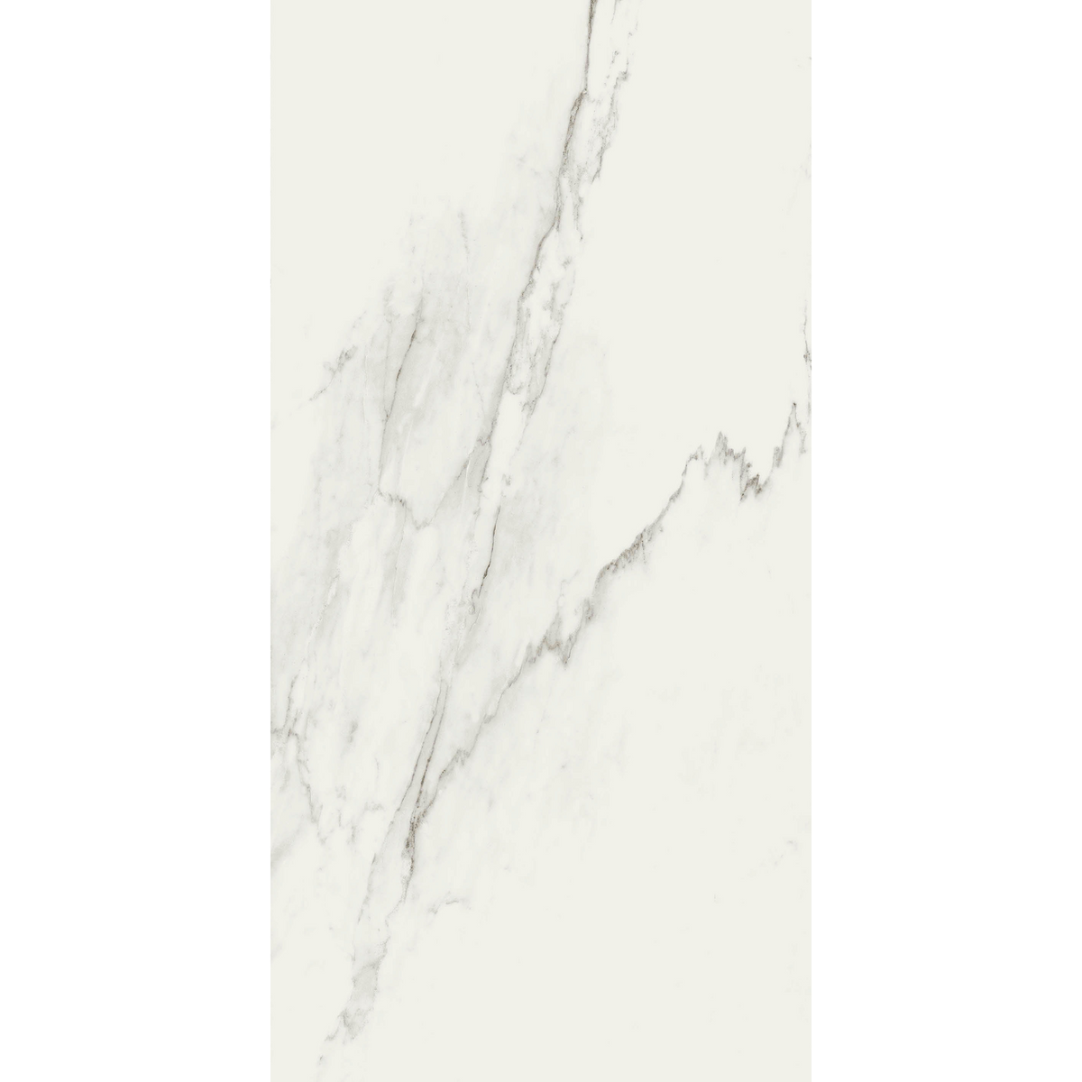 Calacatta White Silk Tile