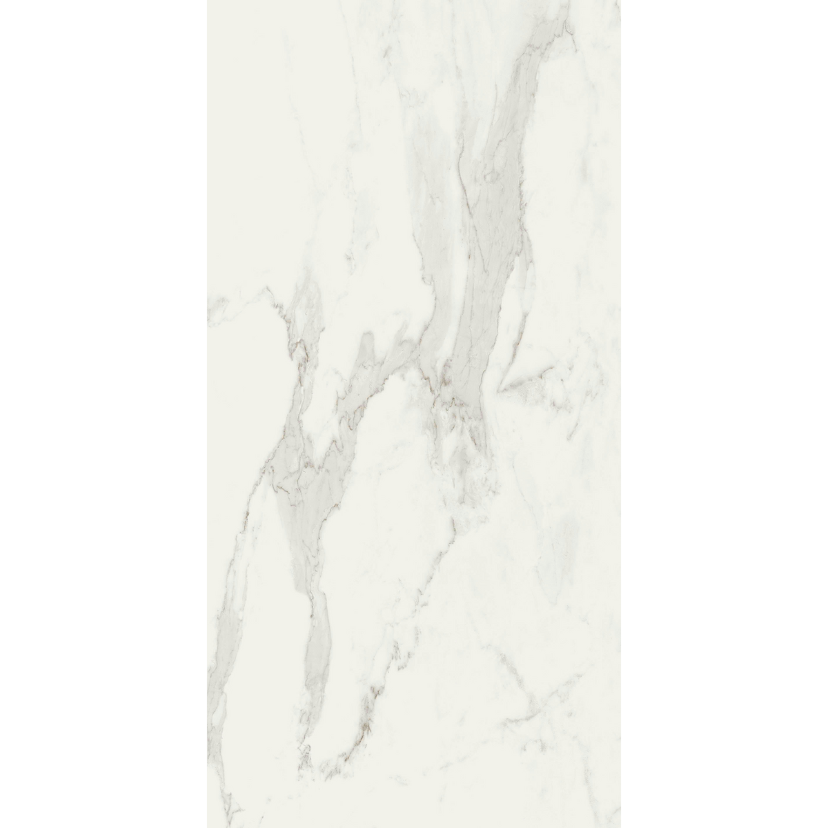 Calacatta White Silk Tile