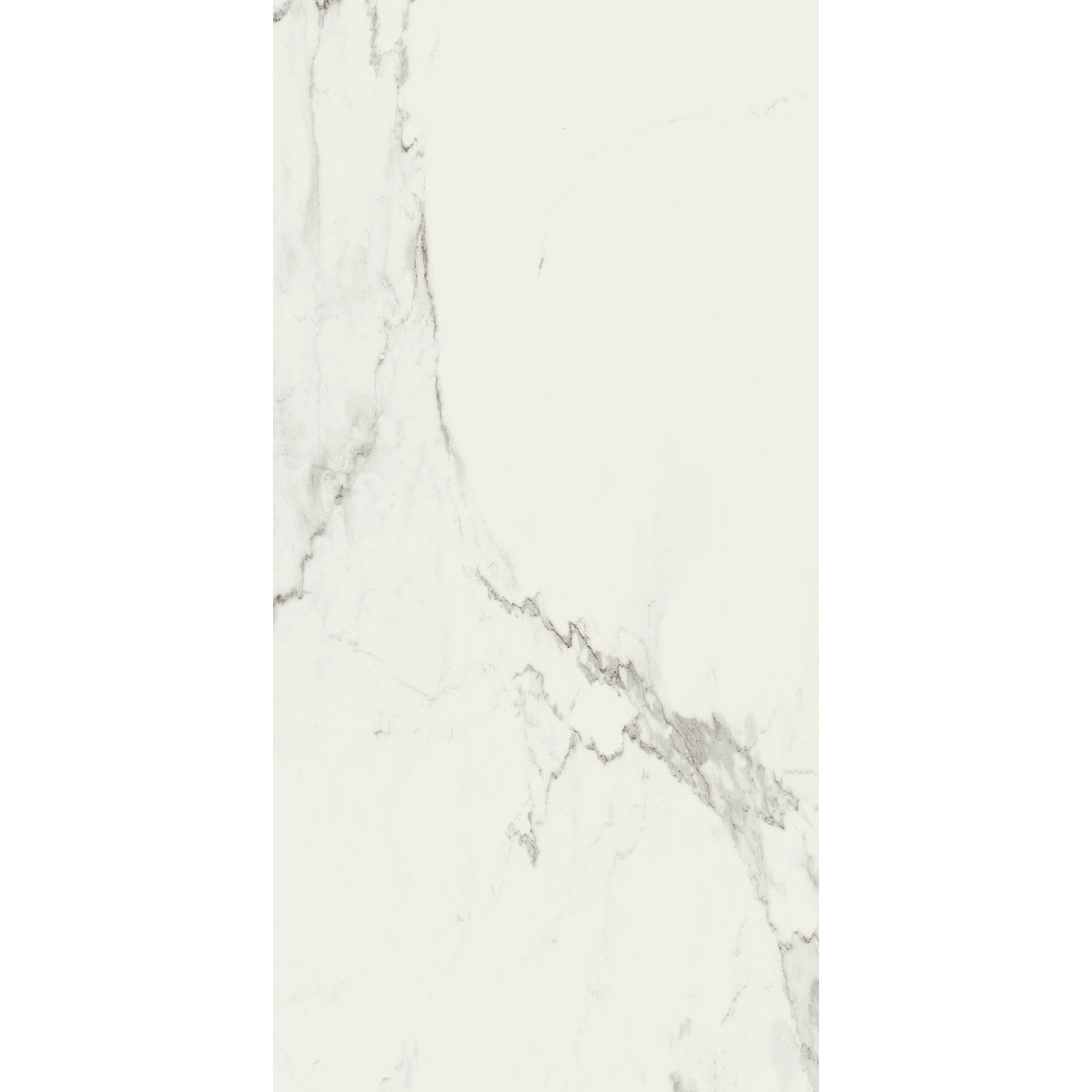 Calacatta White Silk Tile