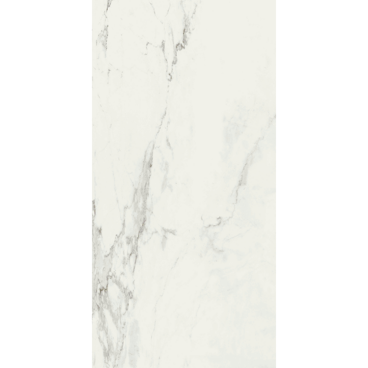 Calacatta White Silk Tile