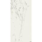 Calacatta White Silk Tile