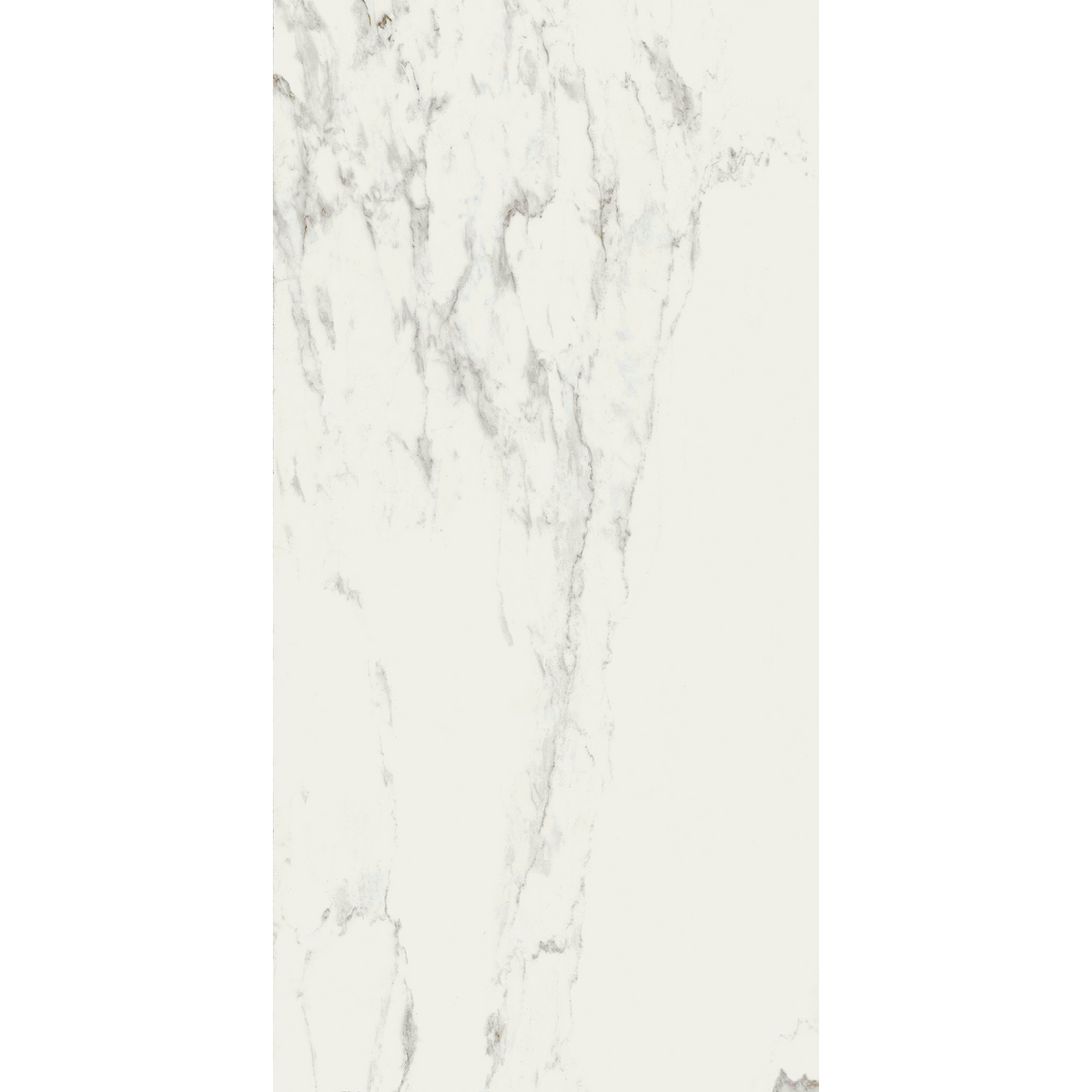 Calacatta White Silk Tile