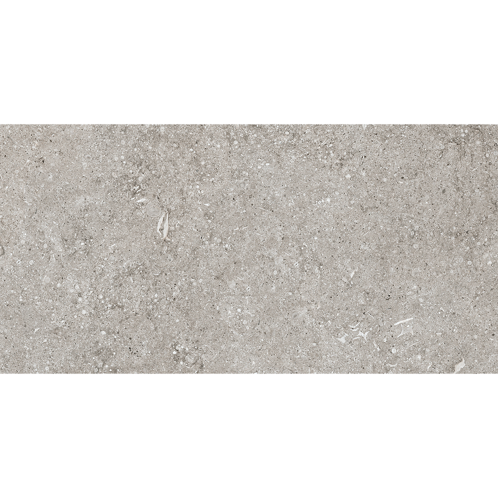 Sensi Fossil Grey Matt Tile