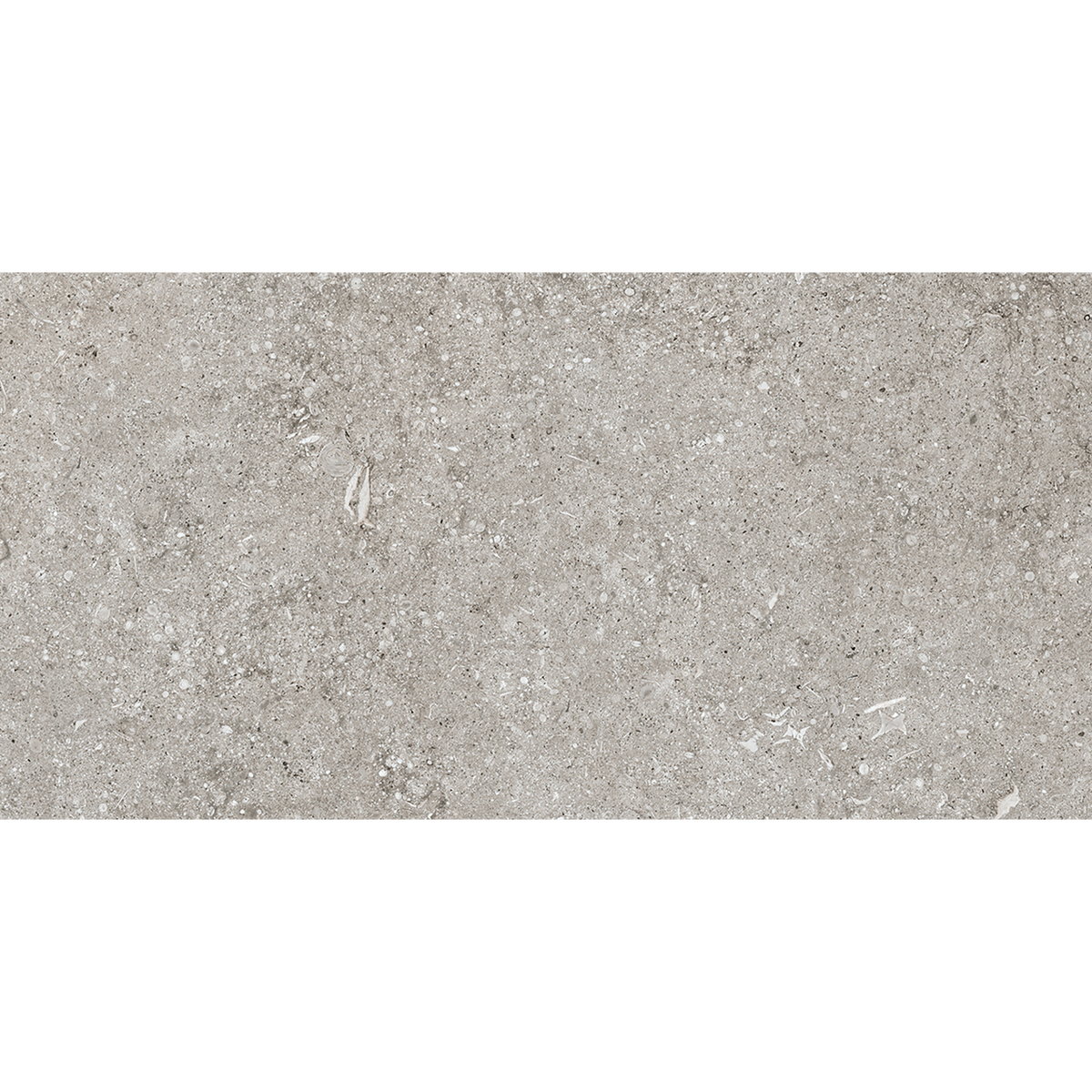 Sensi Fossil Grey Matt Tile