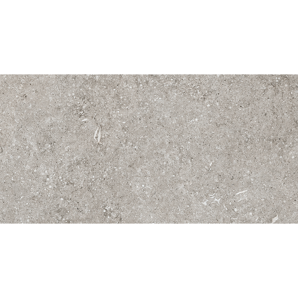 Sensi Fossil Grey Matt Tile