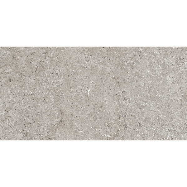 Fossil Grey Matt Tile