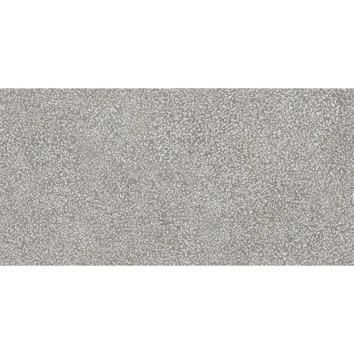 Lithos Grey Textured Tile