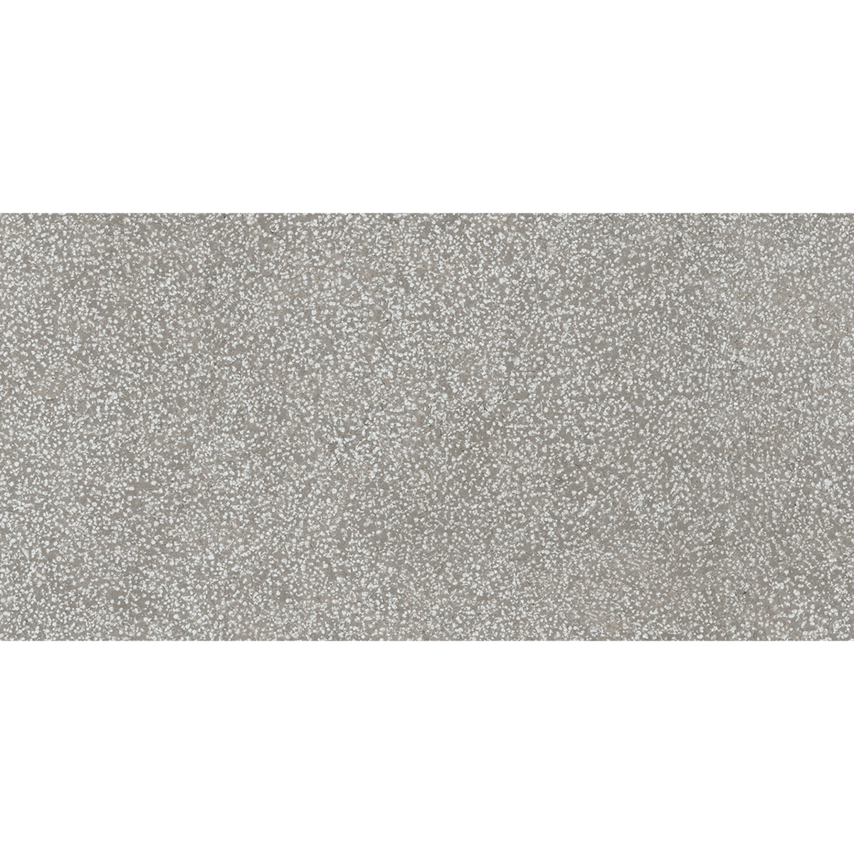 Lithos Grey Textured Tile