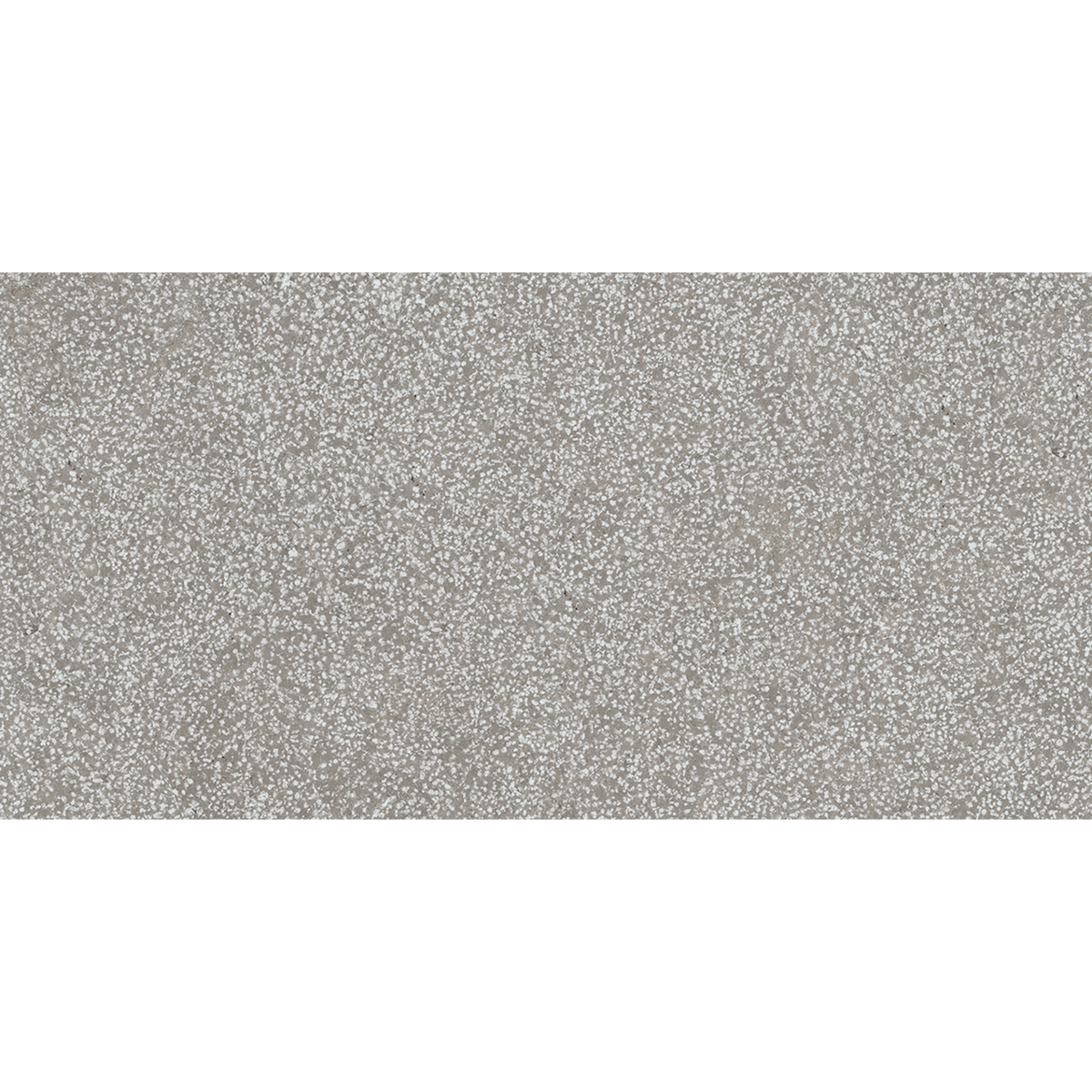 Lithos Grey Textured Tile