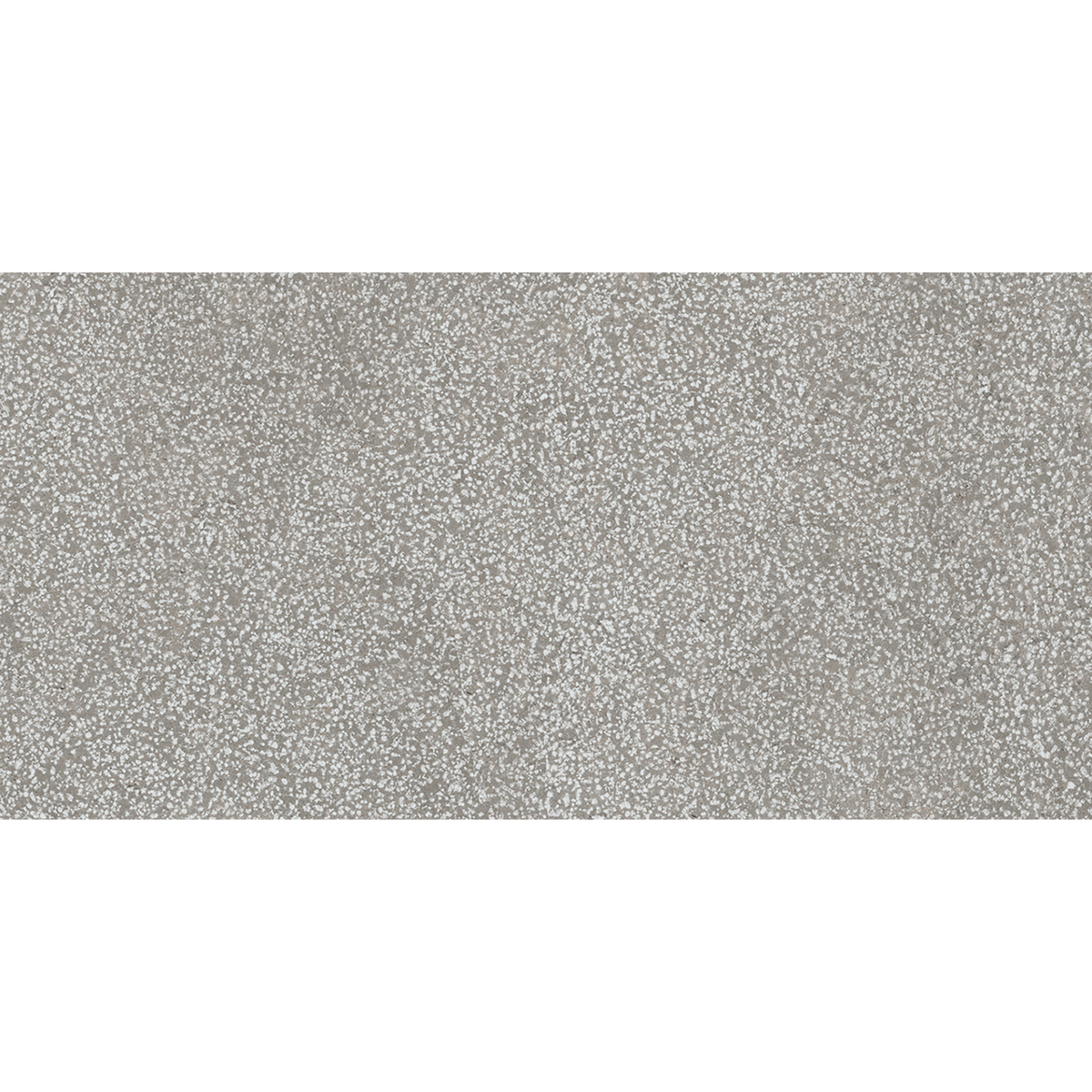 Lithos Grey Textured Tile