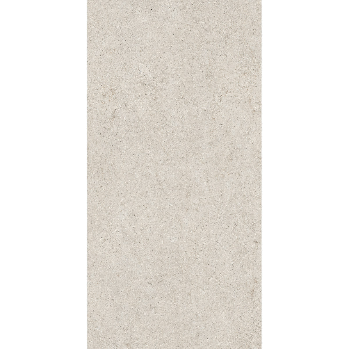 Sensi-Fossil Fossil White Matt Tile