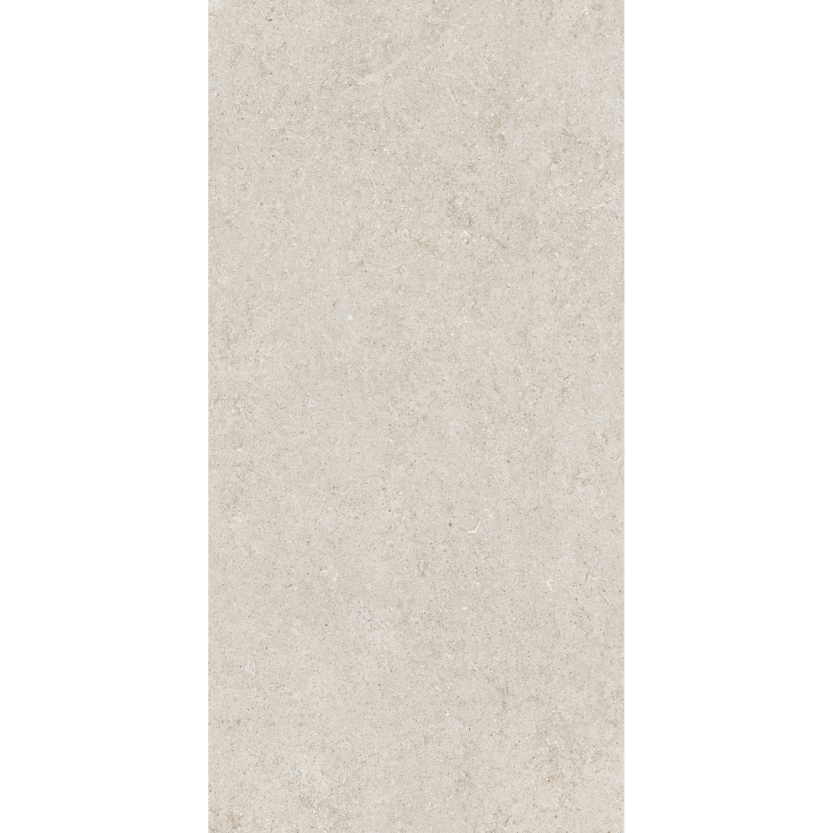 Fossil White Matt Tile