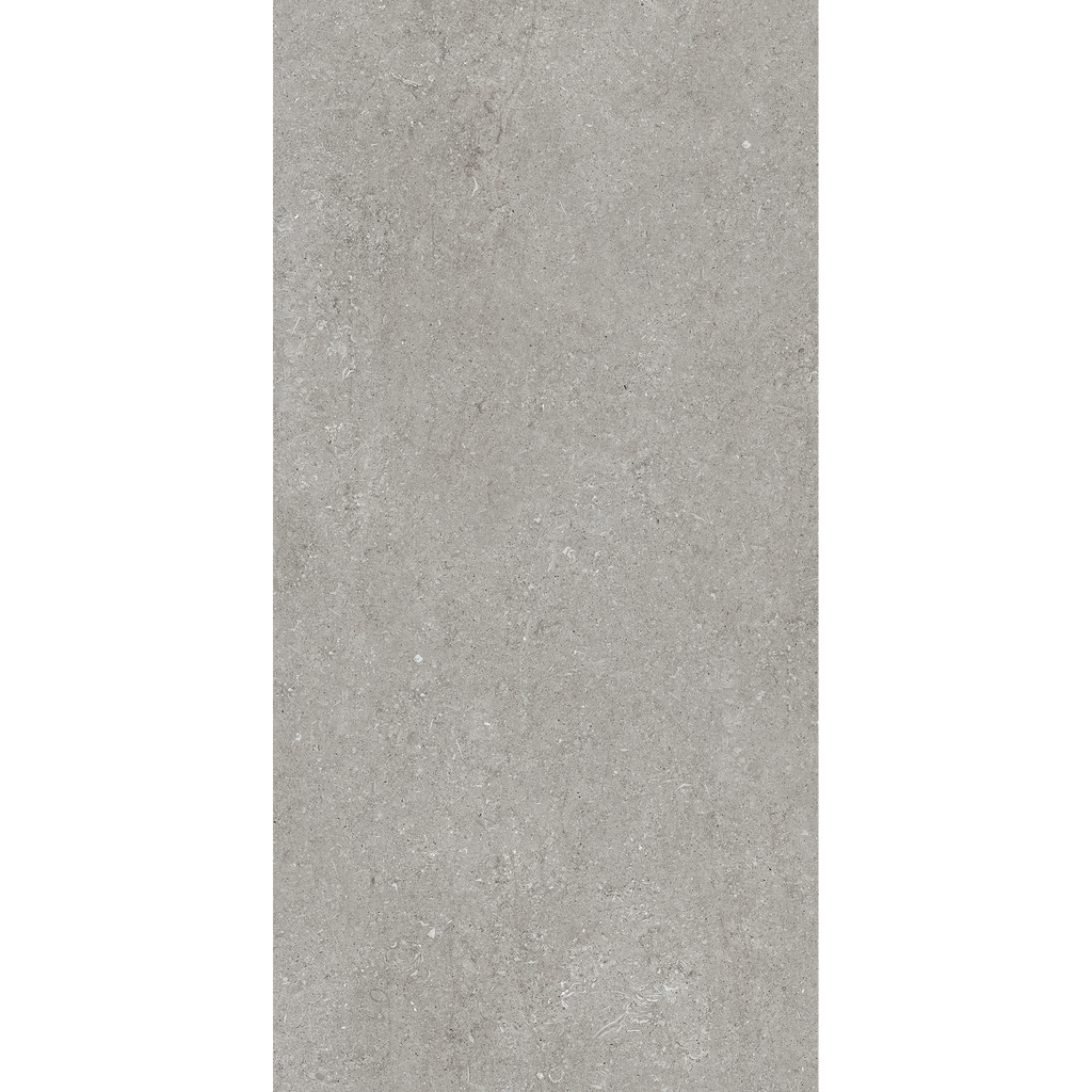 Sensi Fossil Grey Matt Tile