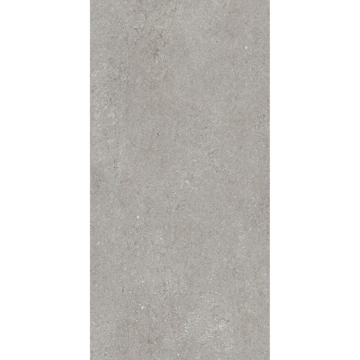 Sensi Fossil Grey Matt Tile