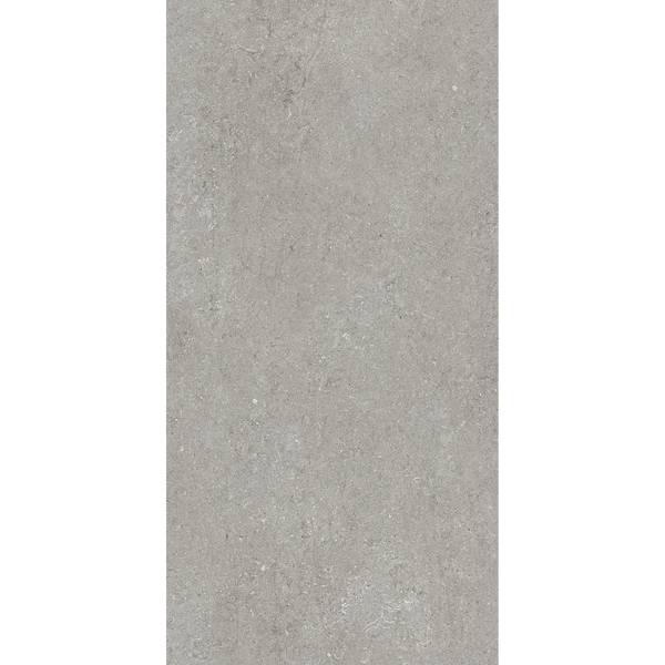 Sensi Fossil Grey Matt Tile