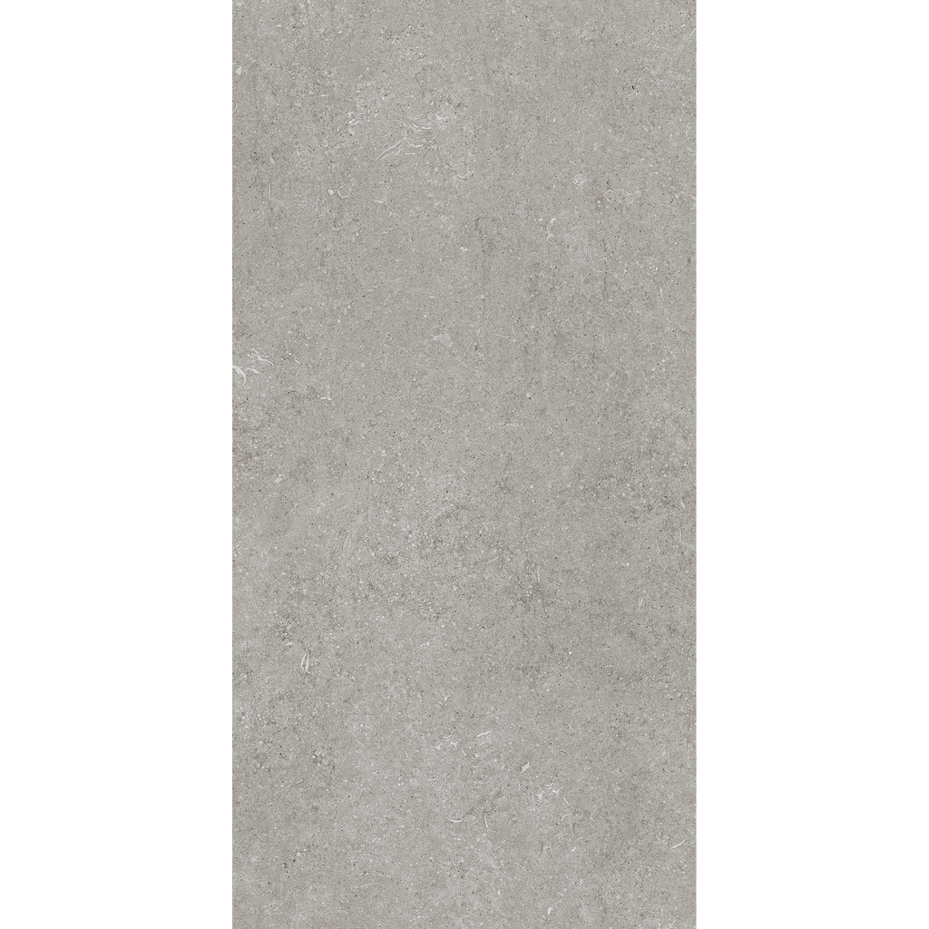 Fossil Grey Matt Tile