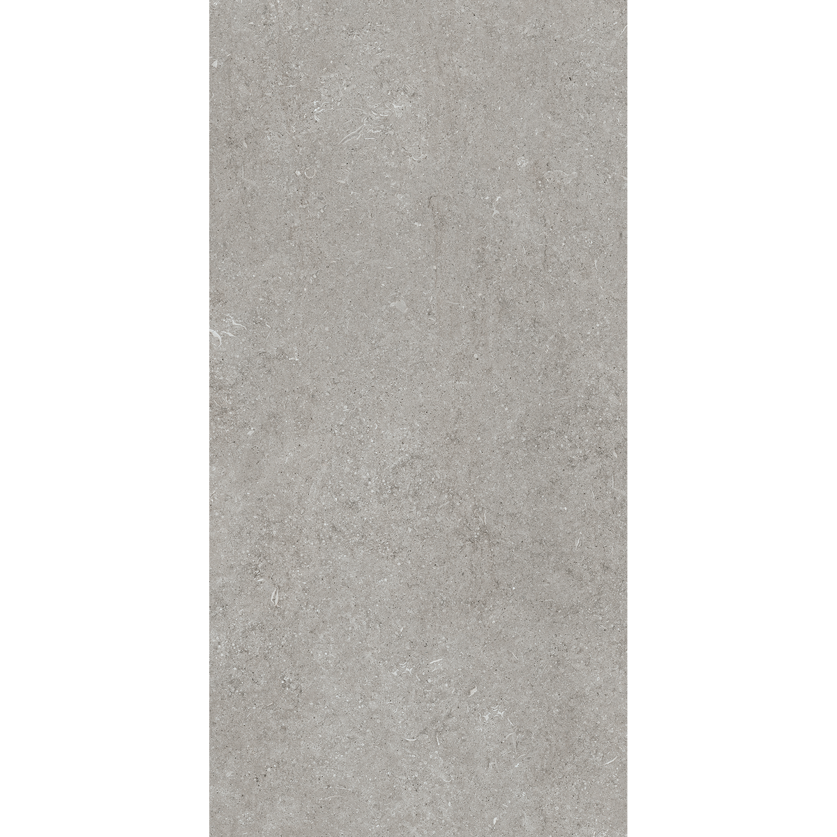 Fossil Grey Matt Tile