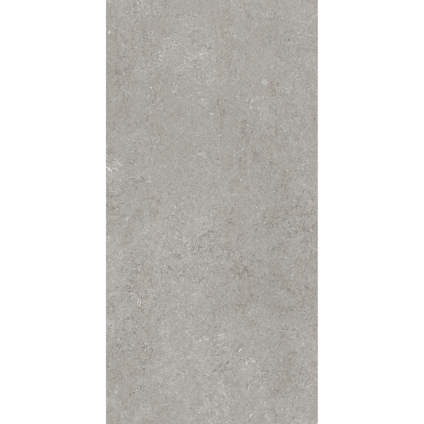 Fossil Grey Matt Tile