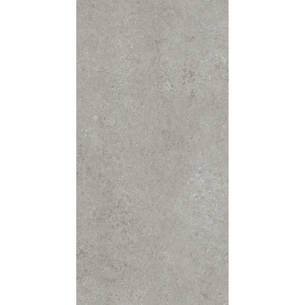 Fossil Grey Matt Tile