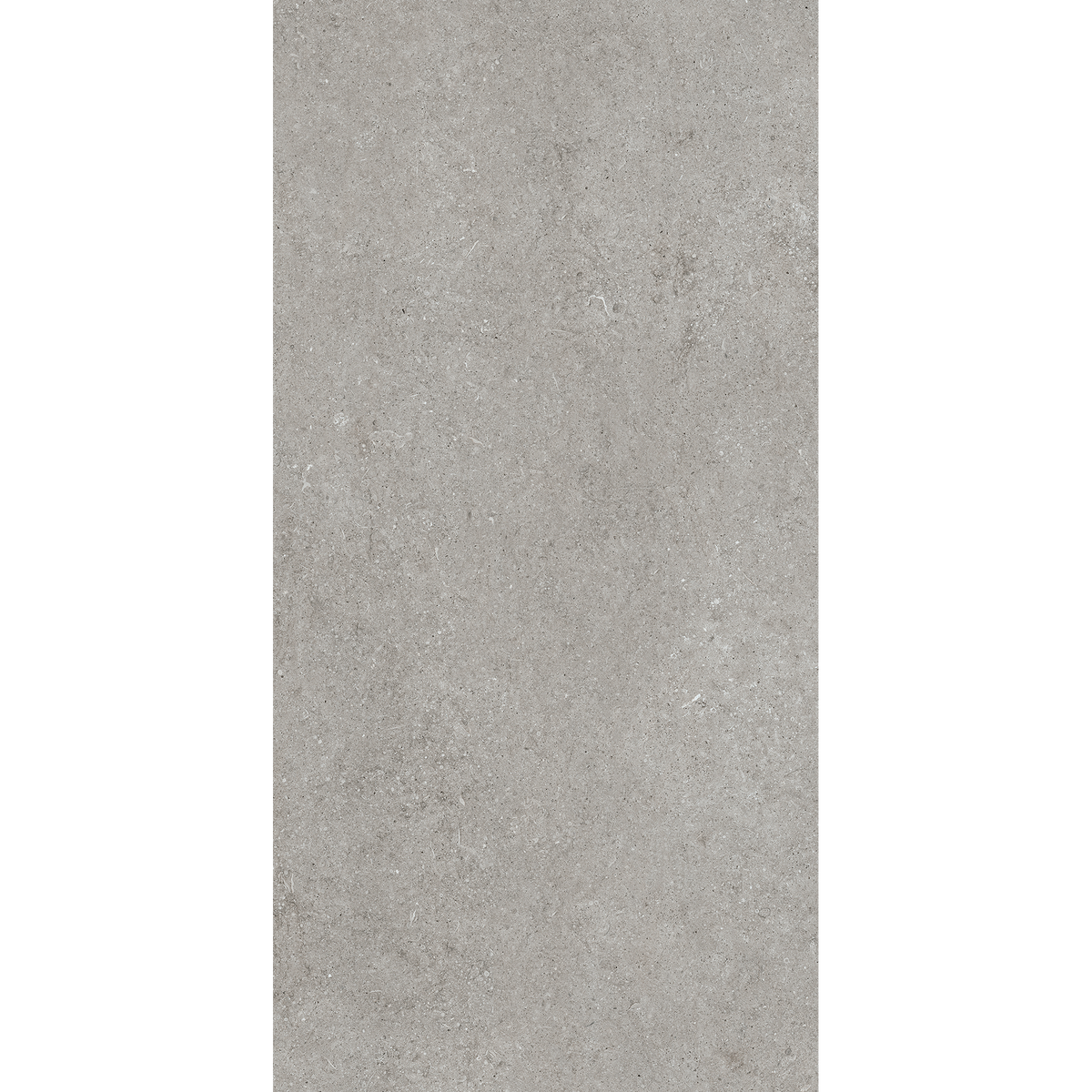 Fossil Grey Matt Tile