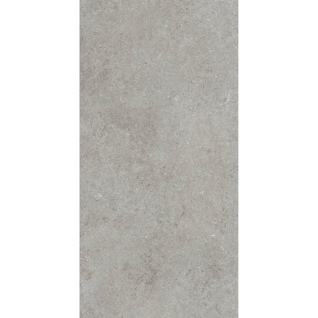 Fossil Grey Matt Tile