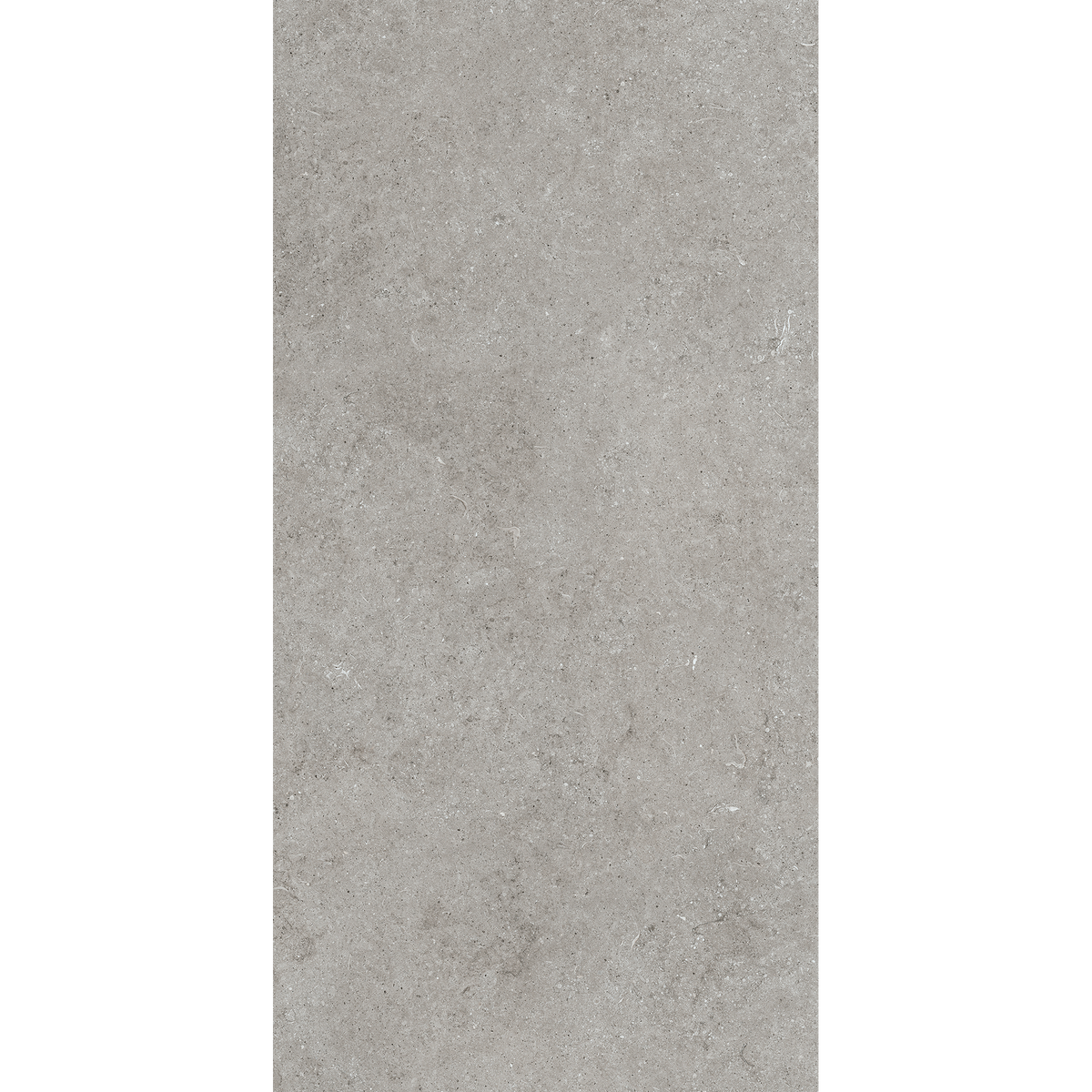 Fossil Grey Matt Tile