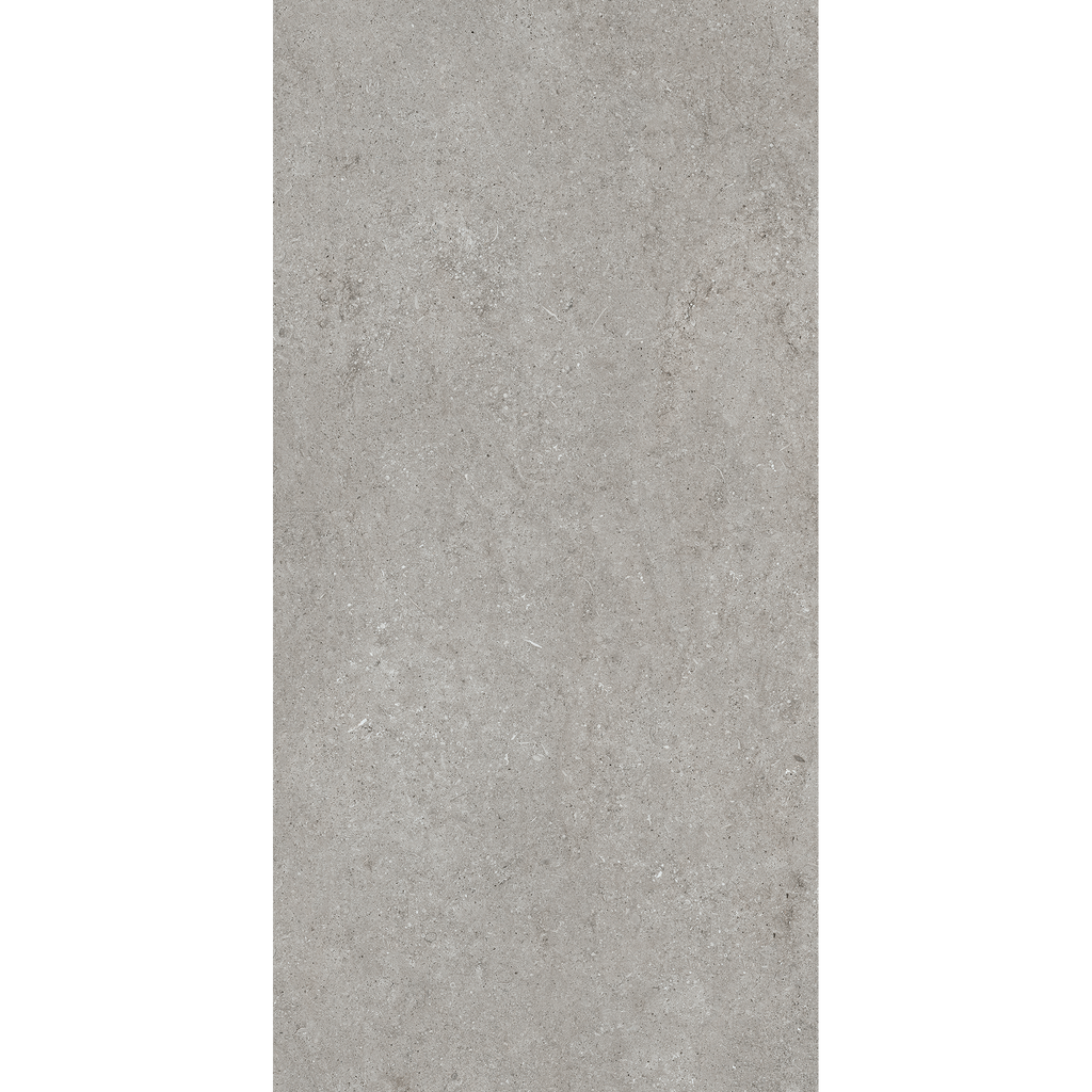 Fossil Grey Matt Tile