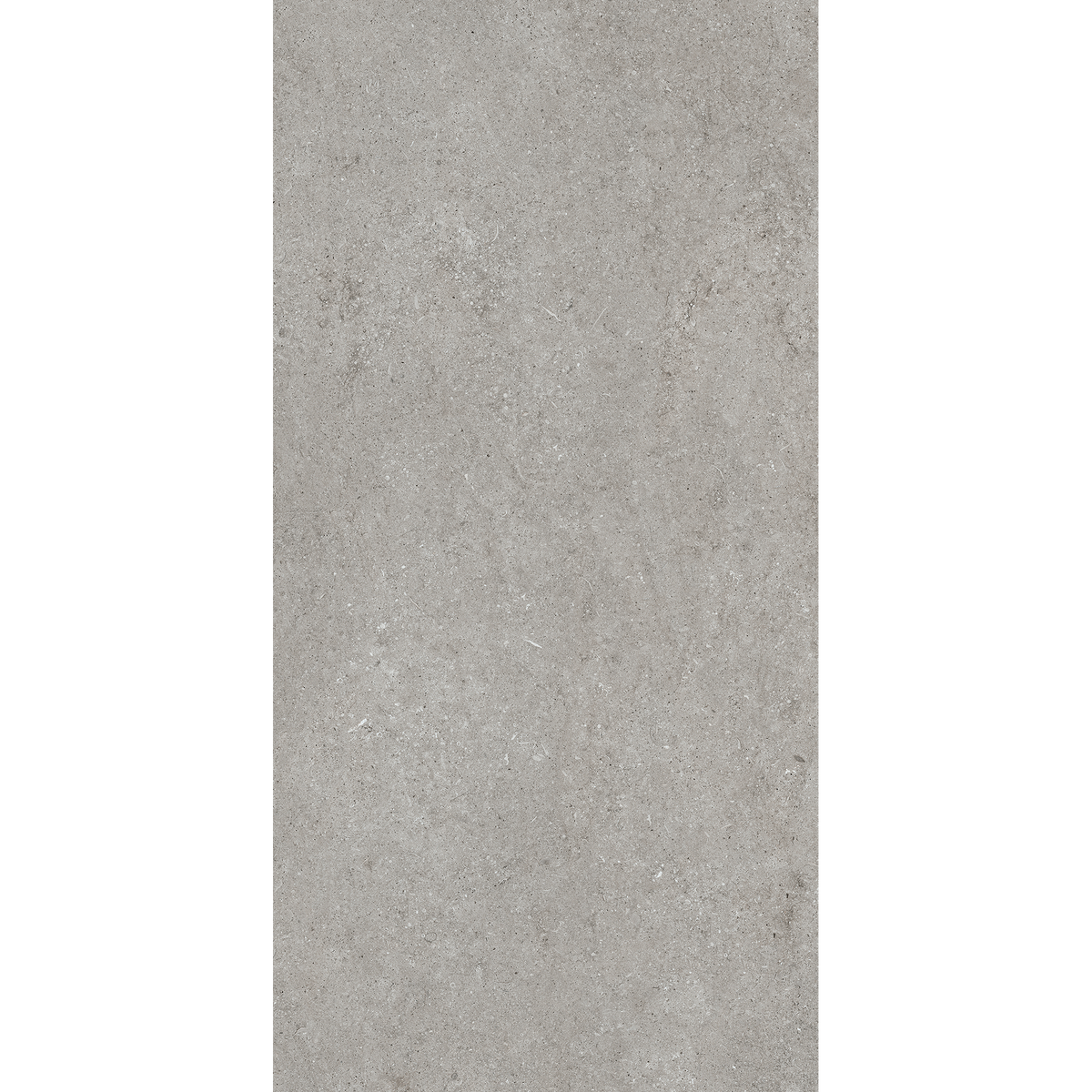 Fossil Grey Matt Tile