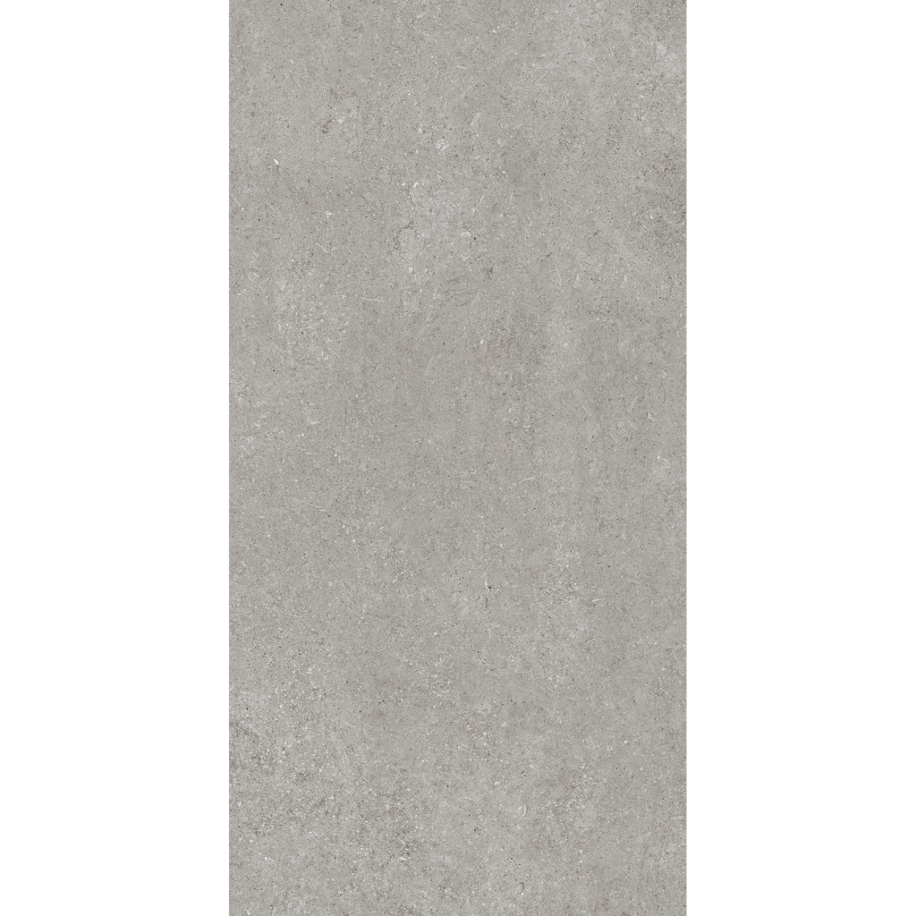 Fossil Grey Matt Tile