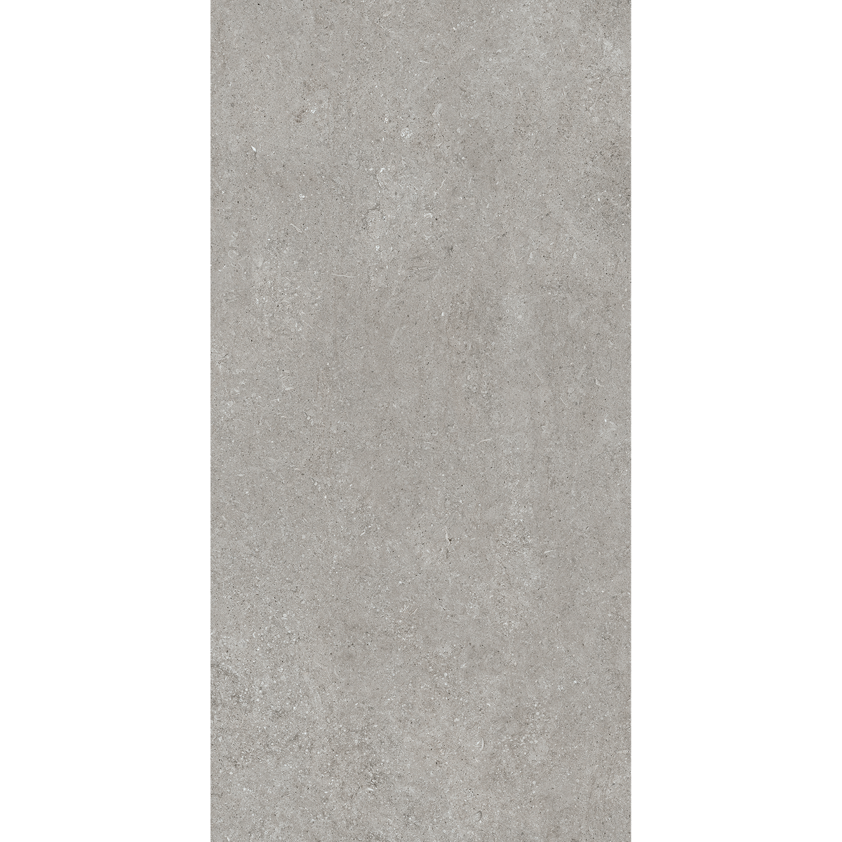 Fossil Grey Matt Tile