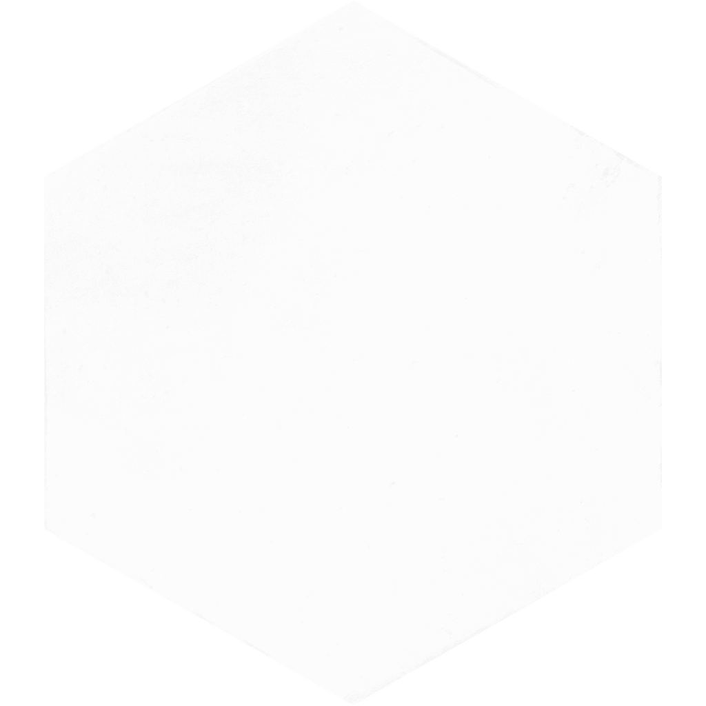 Denia Hexagon White Structured Textured Tile