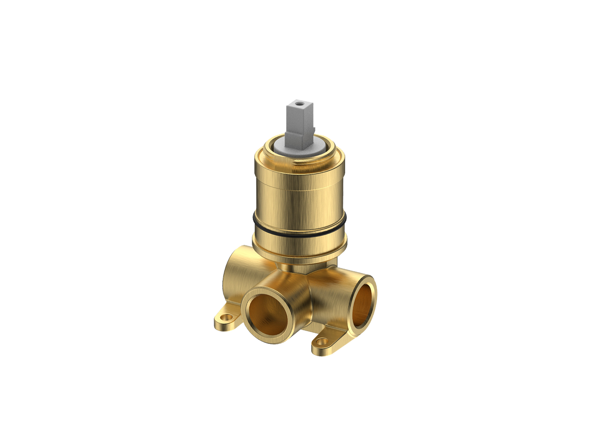 Wall Mixer Rough-Body