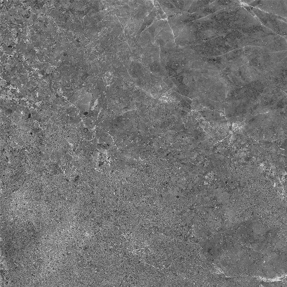 Tundra Charcoal HiLite Microtec Textured Tile