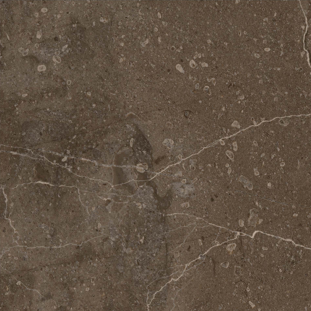 Terrane Marble Brown HiLite Textured Tile
