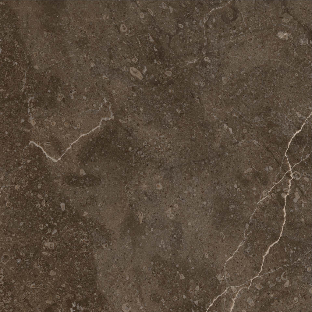 Marble Brown HiLite Textured Tile