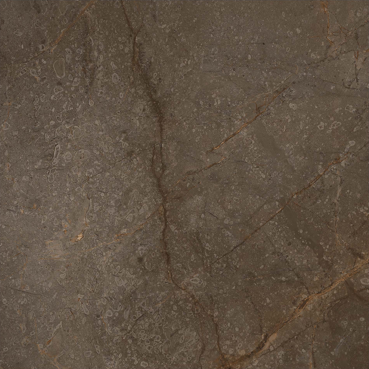 Marble Brown HiLite Textured Tile