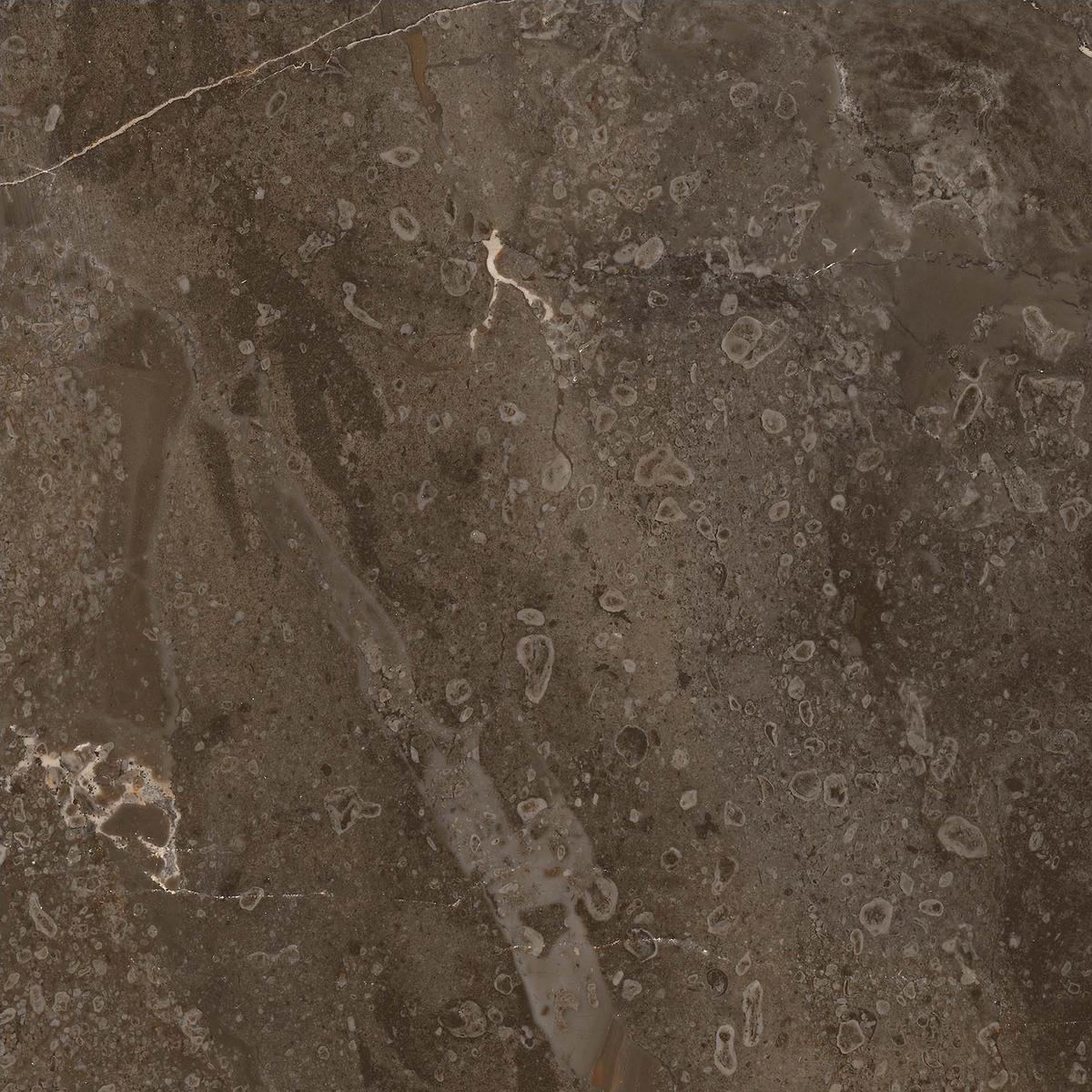 Marble Brown HiLite Textured Tile