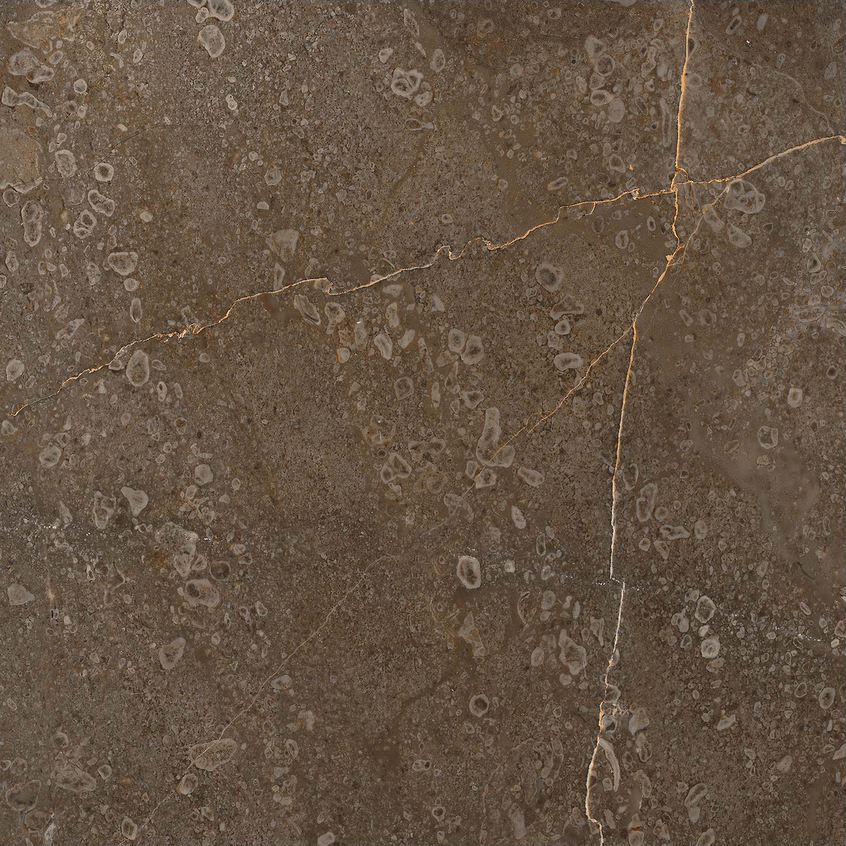 Marble Brown HiLite Textured Tile