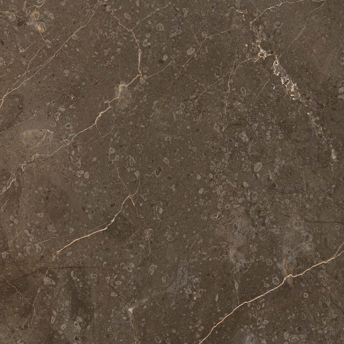 Marble Brown HiLite Textured Tile