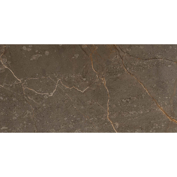 Terrane Marble Brown HiLite Textured Tile
