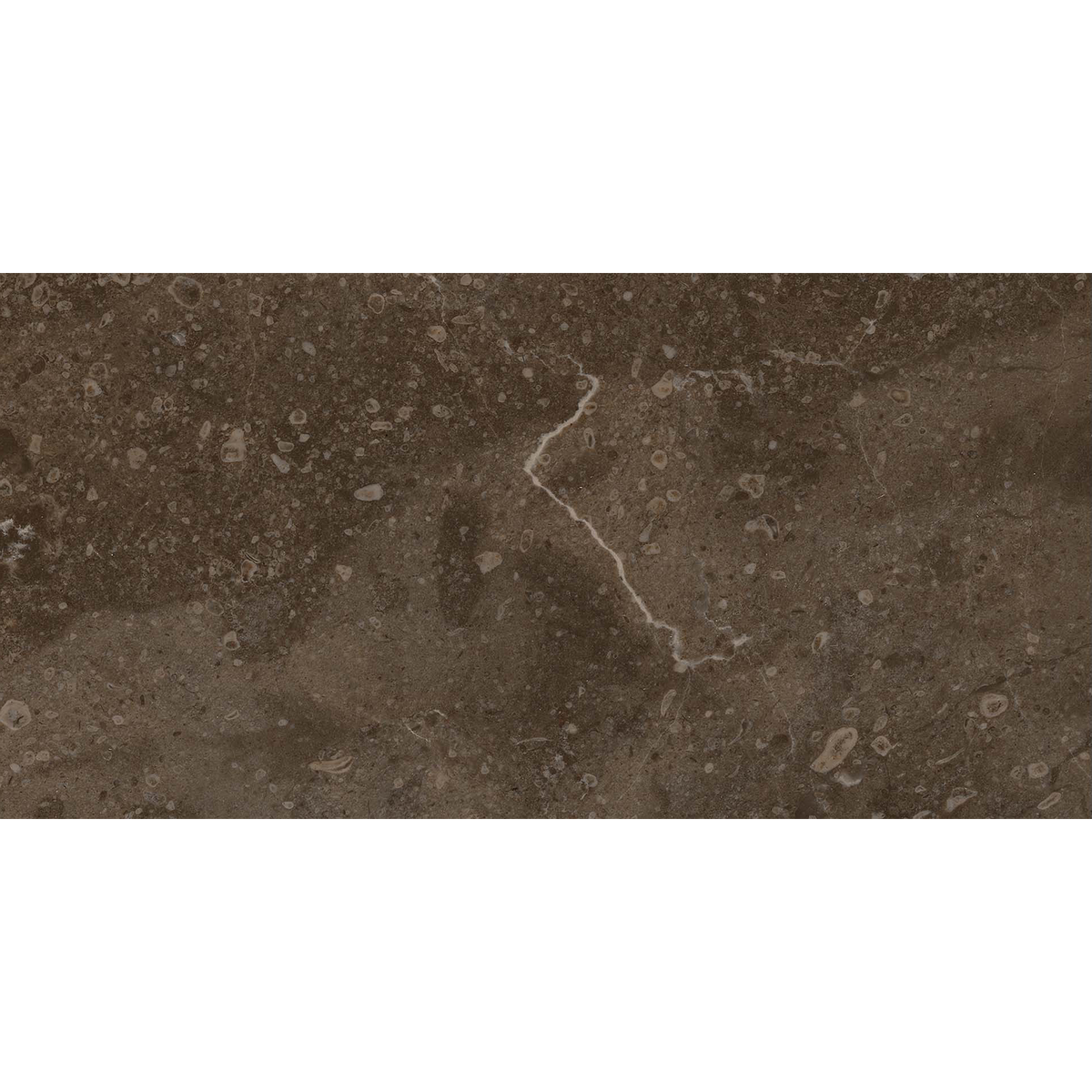 Marble Brown HiLite Textured Tile