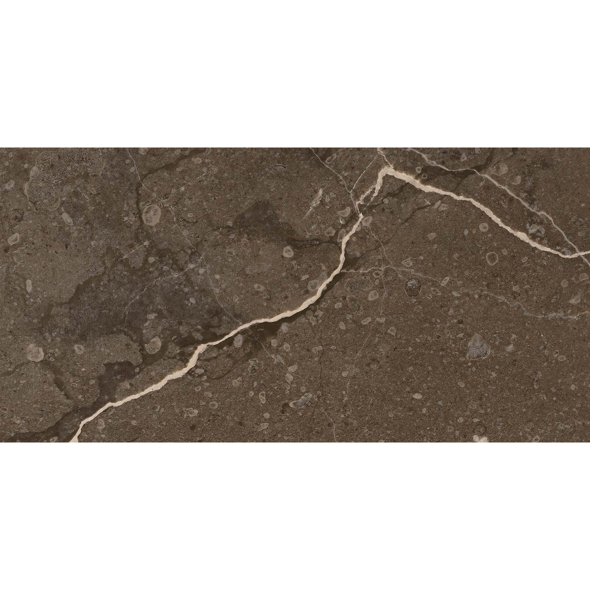Marble Brown HiLite Textured Tile