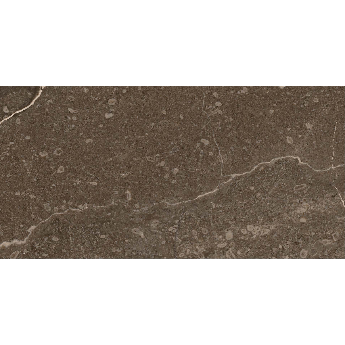 Marble Brown HiLite Textured Tile