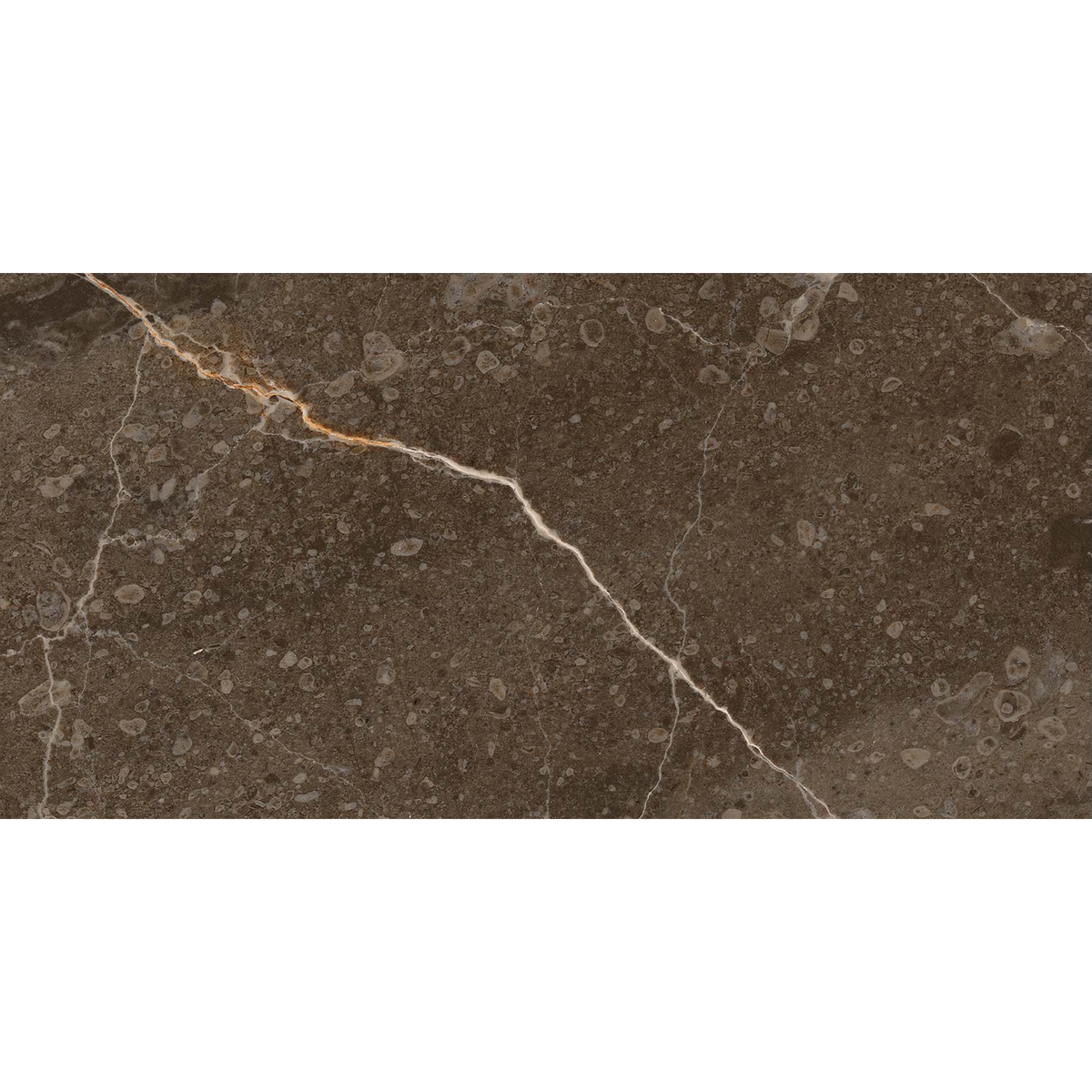 Marble Brown HiLite Textured Tile