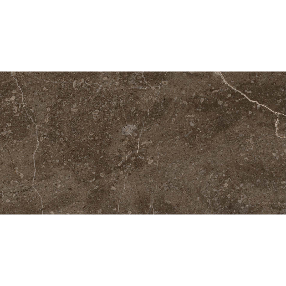 Marble Brown HiLite Textured Tile