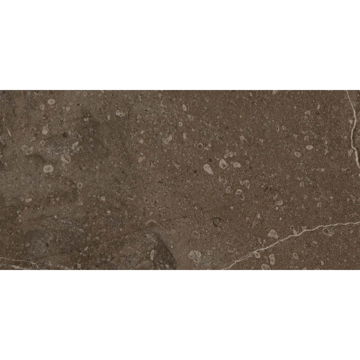 Marble Brown HiLite Textured Tile